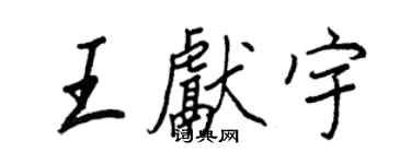 王正良王獻宇行書個性簽名怎么寫