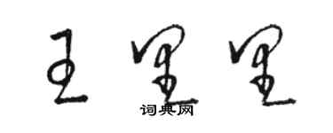 駱恆光王里里草書個性簽名怎么寫