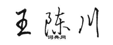 駱恆光王陳川行書個性簽名怎么寫