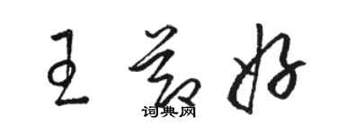 駱恆光王節好草書個性簽名怎么寫