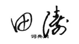 駱恆光田濤草書個性簽名怎么寫