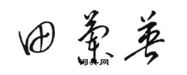 駱恆光田蘭英草書個性簽名怎么寫