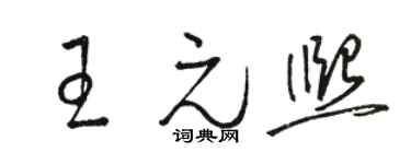 駱恆光王元熙草書個性簽名怎么寫