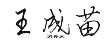 駱恆光王成苗行書個性簽名怎么寫