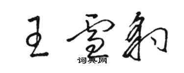 駱恆光王雪豹草書個性簽名怎么寫