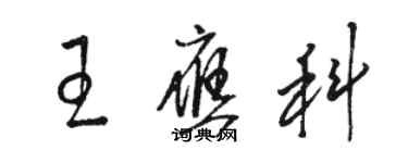 駱恆光王應科草書個性簽名怎么寫