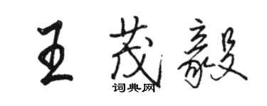 駱恆光王茂毅行書個性簽名怎么寫