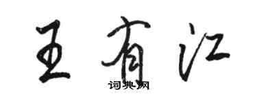 駱恆光王有江行書個性簽名怎么寫