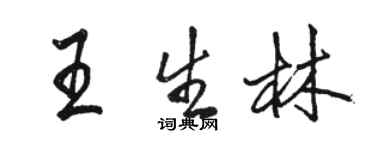 駱恆光王生林行書個性簽名怎么寫
