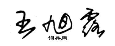 朱錫榮王旭露草書個性簽名怎么寫