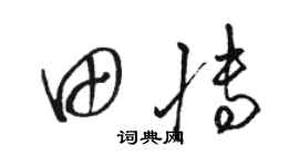 駱恆光田博草書個性簽名怎么寫