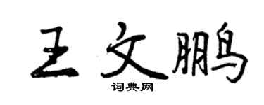 曾慶福王文鵬行書個性簽名怎么寫