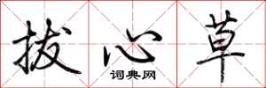 荊霄鵬拔心草行書怎么寫