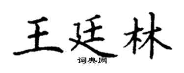 丁謙王廷林楷書個性簽名怎么寫