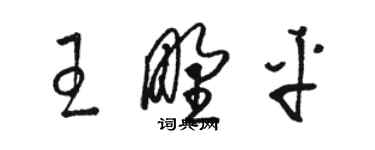 駱恆光王野平草書個性簽名怎么寫