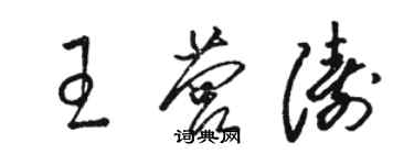 駱恆光王營濤草書個性簽名怎么寫