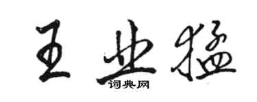 駱恆光王業猛行書個性簽名怎么寫