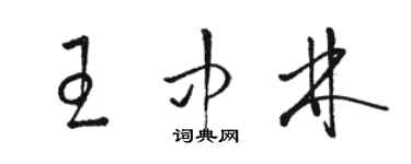 駱恆光王中林草書個性簽名怎么寫