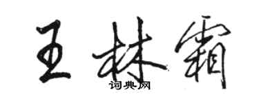 駱恆光王林霜行書個性簽名怎么寫