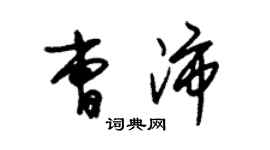 朱錫榮曹沛草書個性簽名怎么寫