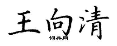 丁謙王向清楷書個性簽名怎么寫