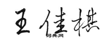 駱恆光王佳棋行書個性簽名怎么寫