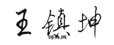 駱恆光王鎮坤行書個性簽名怎么寫
