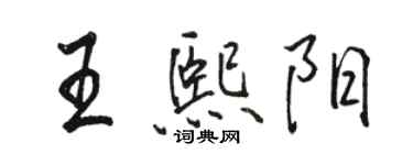 駱恆光王熙陽行書個性簽名怎么寫