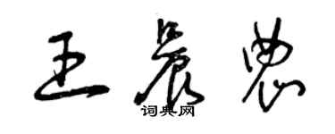 曾慶福王晨農草書個性簽名怎么寫