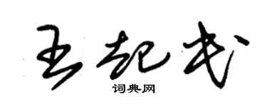 朱錫榮王起民草書個性簽名怎么寫