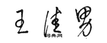駱恆光王佳男草書個性簽名怎么寫
