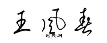 梁錦英王風春草書個性簽名怎么寫