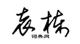 朱錫榮袁棟草書個性簽名怎么寫