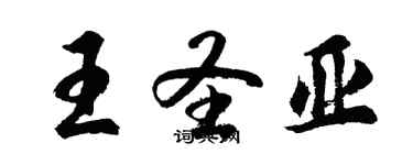 胡問遂王聖亞行書個性簽名怎么寫