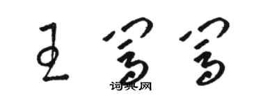 駱恆光王闖闖草書個性簽名怎么寫