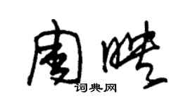 朱錫榮周映草書個性簽名怎么寫