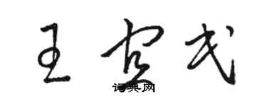 駱恆光王宜民草書個性簽名怎么寫