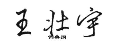 駱恆光王壯宇行書個性簽名怎么寫