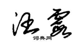 朱錫榮汪霞草書個性簽名怎么寫