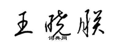 梁錦英王曉朕草書個性簽名怎么寫