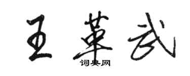 駱恆光王革武行書個性簽名怎么寫