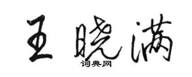 駱恆光王曉滿行書個性簽名怎么寫