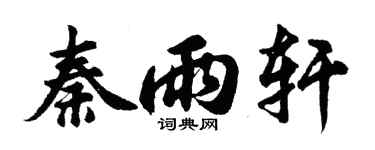 胡問遂秦雨軒行書個性簽名怎么寫