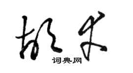 駱恆光胡幸草書個性簽名怎么寫