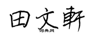 王正良田文軒行書個性簽名怎么寫