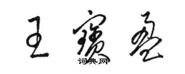 駱恆光王寶盈草書個性簽名怎么寫