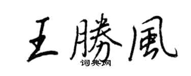 王正良王勝風行書個性簽名怎么寫