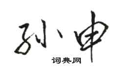 駱恆光孫申行書個性簽名怎么寫