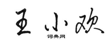 駱恆光王小歡行書個性簽名怎么寫