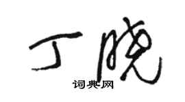 駱恆光丁曉草書個性簽名怎么寫